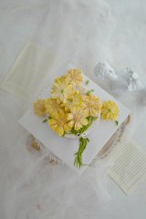 코스모스다발 1호~2호 4