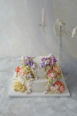 로즈정원2단(띠지)