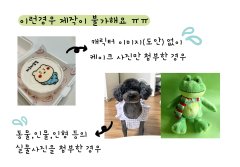 홀사이즈 (1호) 커스텀 3