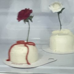 꽃 한송이 3