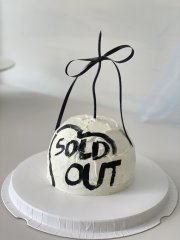 dome painting cake 1