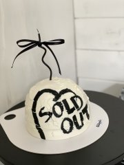 dome painting cake 3