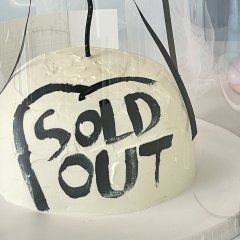 dome painting cake 6