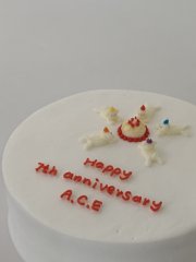 3호사이즈(21cm) / 2단케이크(2호+미니) 5