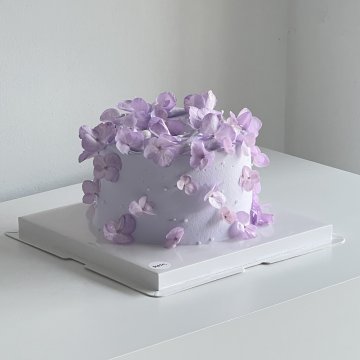 연보라 수국