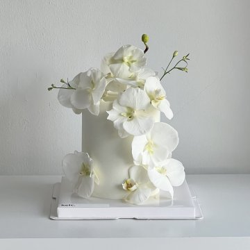 버터 크림 - 호접란