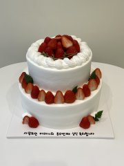 2단 케이크 9