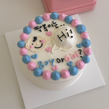 젠더리빌 케이크