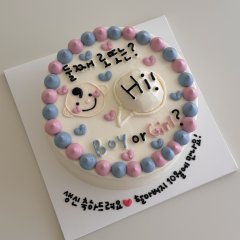 젠더리빌 케이크 3