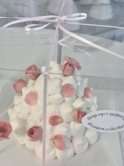 Rose rose rose ₊˚ ୨୧˚ ₊ 🌷･ 2