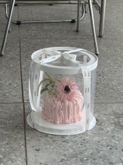 핑크 거베라 폭포 gerbera waterfall_pink 1