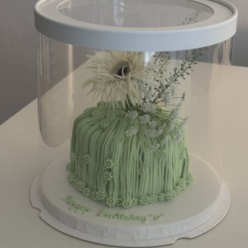 그린 거베라 폭포 gerbera waterfall_green