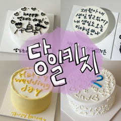 당일 키치 1
