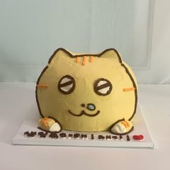 반입체케이크 5