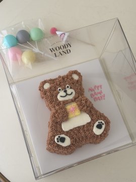 선물 안고 있는 테디 🎁