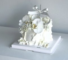 호접란과 리본 2