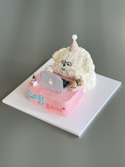 댕댕이의 하루 3