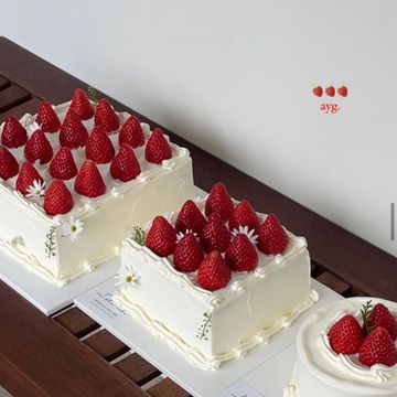 원형 사각 과일케이크