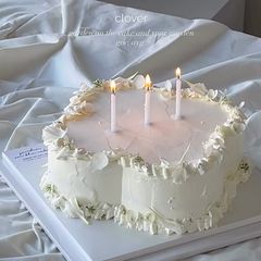 클로버 케이크 2