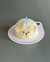 Fluffy Puppy 1