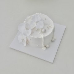 화이트 오키드 white orchid 1