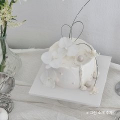 화이트 오키드 white orchid 2
