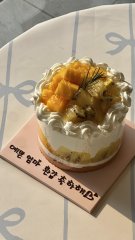 망고&골드키위 반반 케이크(시즌 종료) 1