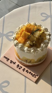 망고&골드키위 반반 케이크(시즌 종료)