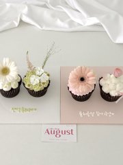컵케이크 5