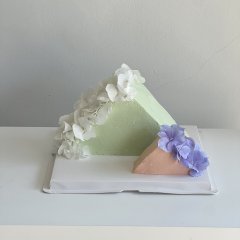 피크 블룸 1