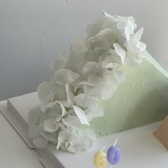피크 블룸 5