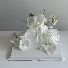 피크 블랑 1