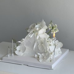 피크 블랑 4