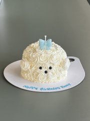 Fluffy Puppy 1