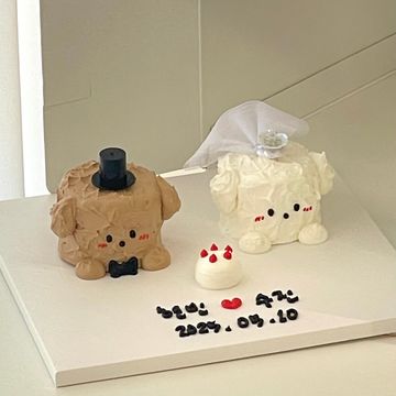 신랑&신부 강아지